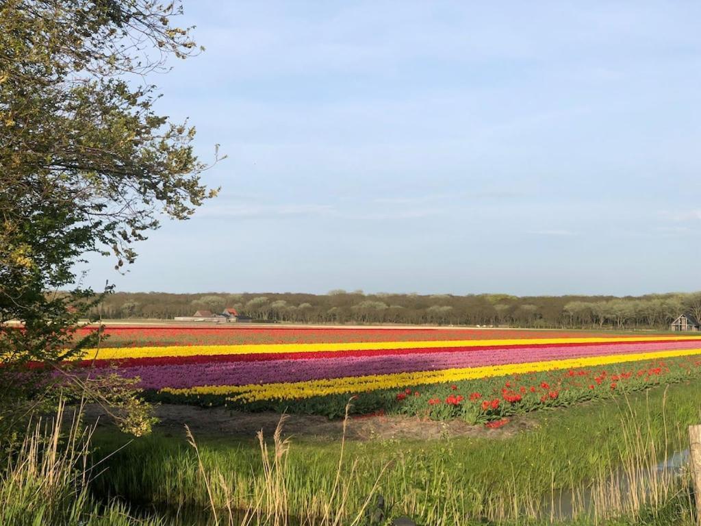 Willa Meno Mosso Sint Maartensvlotbrug Zewnętrze zdjęcie